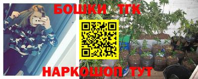 эйфоретик Малгобек