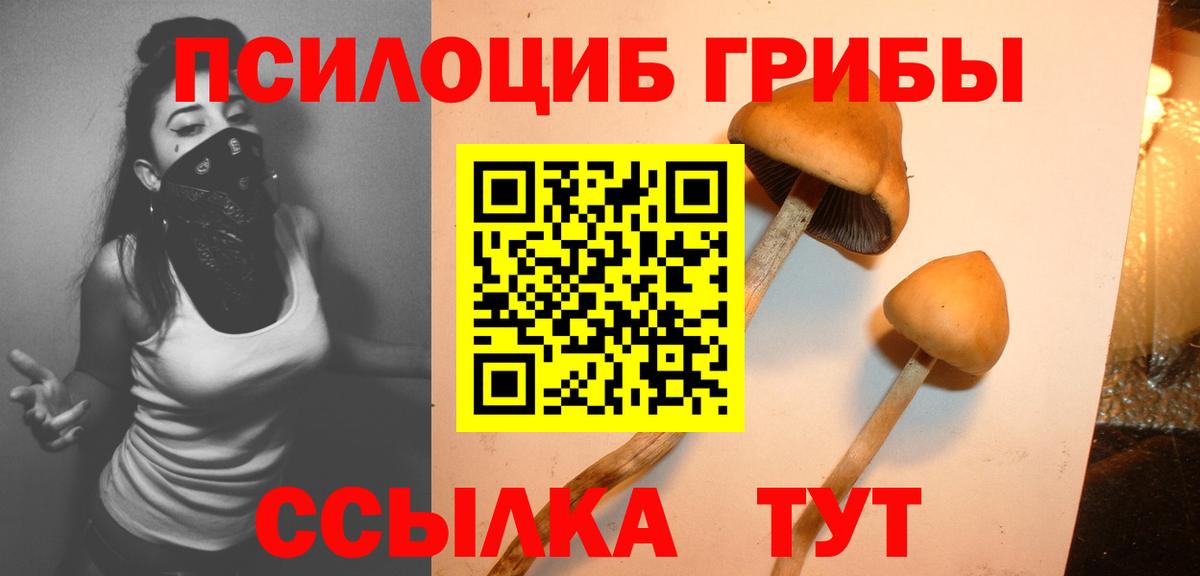 Чита  Галлюциногенные грибы MAGIC MUSHROOMS  Вход с VPN 